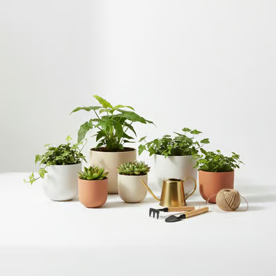 Home & Garden